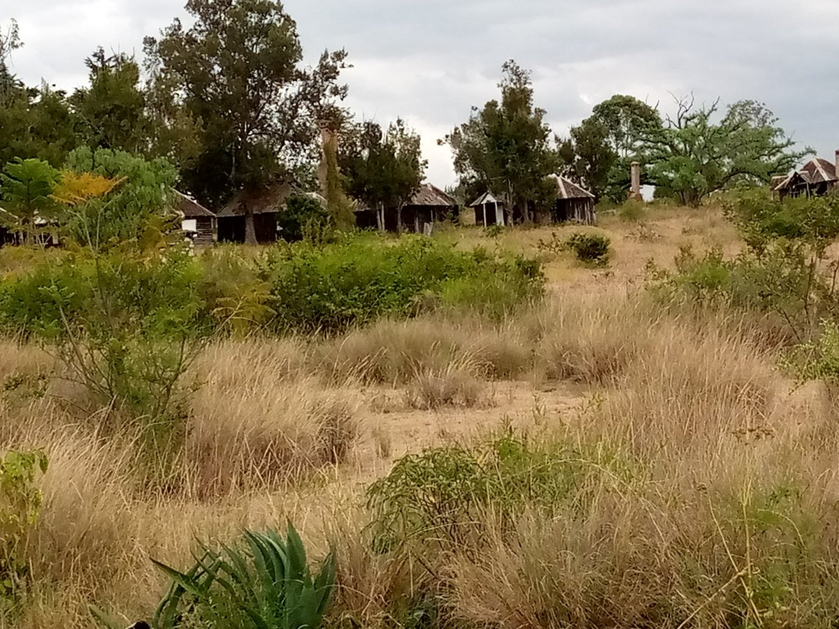 Since that fire that night 48 years ago, the place has remained closed save for a short period when someone attempted to revive it just to be cut back by the myriad legal battles that have persisted since then. It is a story of intrigues, power, high politics, treachery and all.