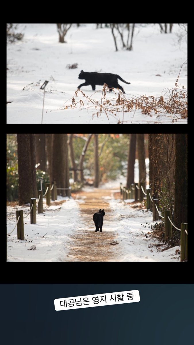 북부대고영님 영지 시찰 중