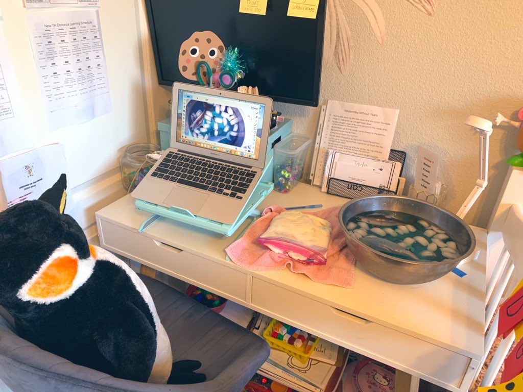 JadeUrenda's tweet photo. How do marine mammals stay warm in their icy environments? We tested out our blubber mits to find out! 🐧❄️🥶

@jseroadrunners #tk #handsonlearning
#distancelearning2021 https://t.co/hejciForLU