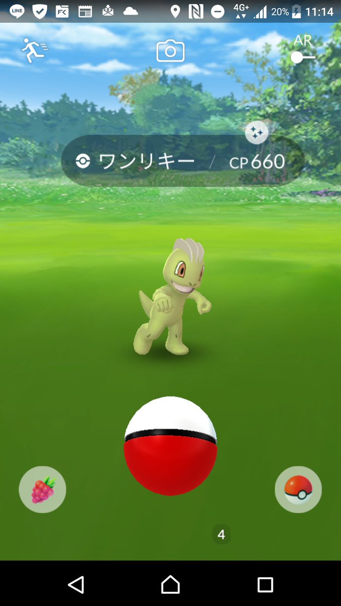 色違いワンリキー