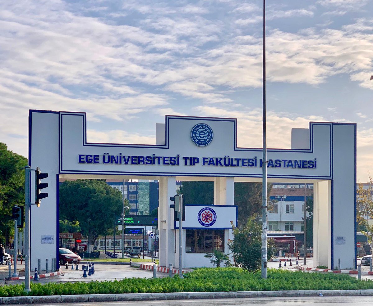 Ege. Ege ege k. парусные яхты гулеты. Ege hospital logo. Ege ege k.