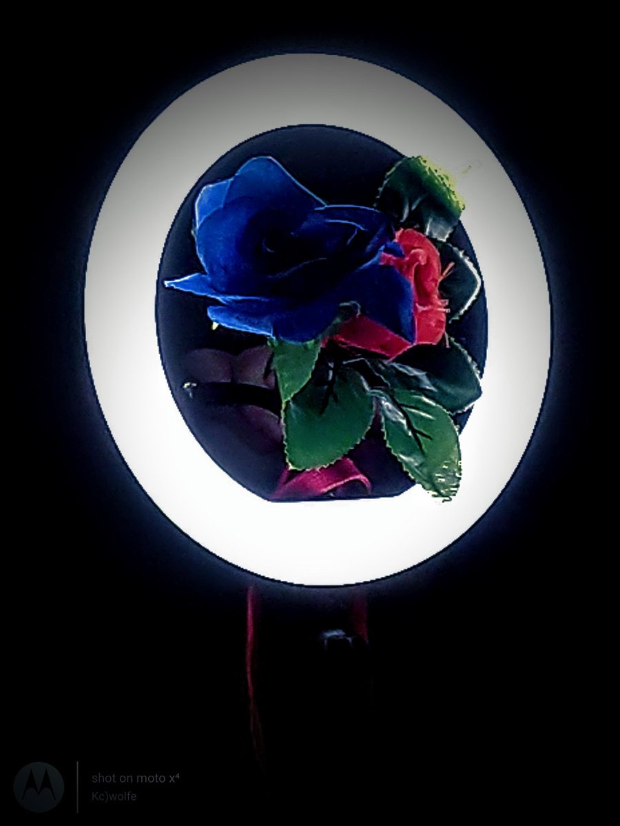 KWolfechild's tweet photo. Here are some strange fursuit pictures of my skull dog Cider, I really liked playing around with the ring light and the new rose props I got from a friend. 
#FursuitFriday #furry #fursuiting #photography https://t.co/0I5JdbSbnb