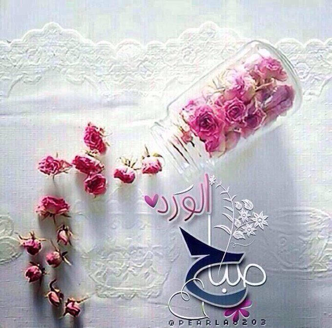 <a href="/hadialgorani1/">alshamaly_63</a>