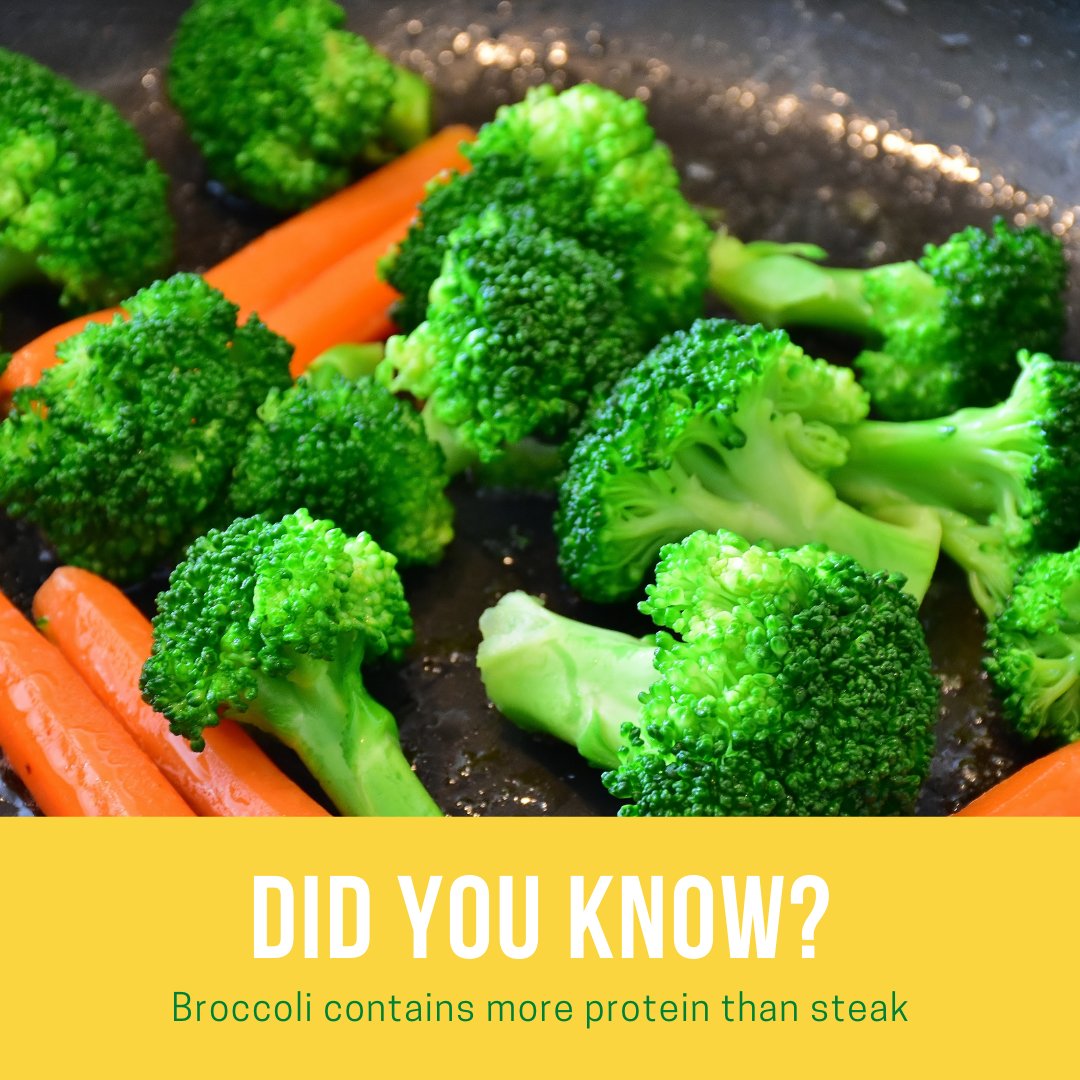 anwarmaju1's tweet photo. DID YOU KNOW? Broccoli contains more protein than steak     #RestoranAnwarMaju #Mamak #AnwarMaju #Pjs11 #putraHeights #USJ #USJHeights #SubangJaya #BandarSunway #Sunway #Foodie #FoodFacts #EatBroccoli #Vegetables https://t.co/ZGARaIu6MF