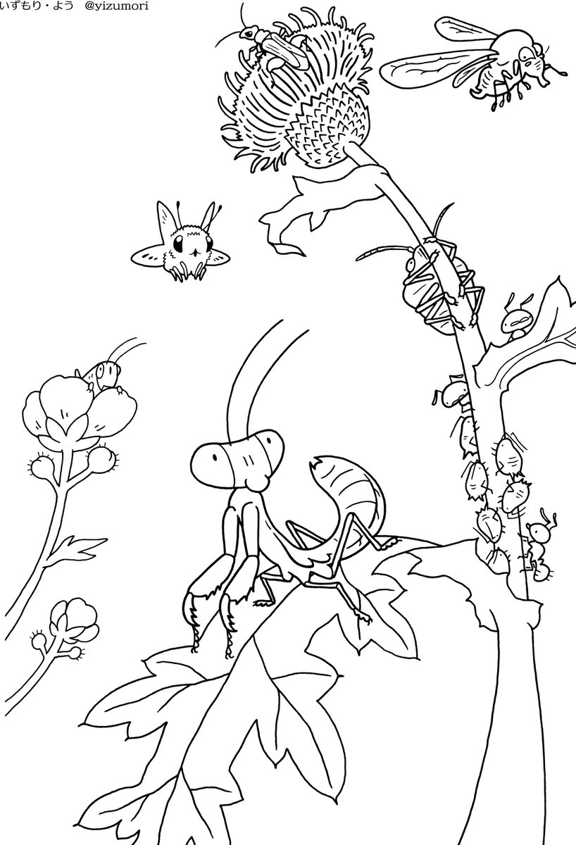 いずもり よう ぬりえや間違い探しの 印刷に使える画像を貼るので適宜ご活用いただければ ダウンロードの上プリントアウトしてください 営利目的使用禁止 教育 保育関連の配布ok 飲食店 書店等での配布 付録への使用もokです