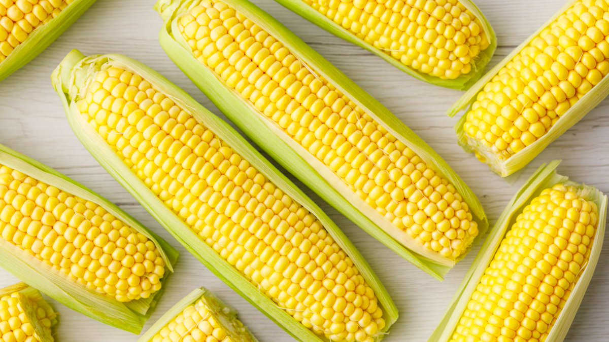 Corn is beneficial in managing certain Kidney problems like kidney stones due to its diuretic property.
#healthy #beachbody #sweating #followforfollow #crossfit #fit #superfood #fitfiance #noexcuses #grinding #weightloss #eathealthy #recipe https://t.co/JnMATQbEWR