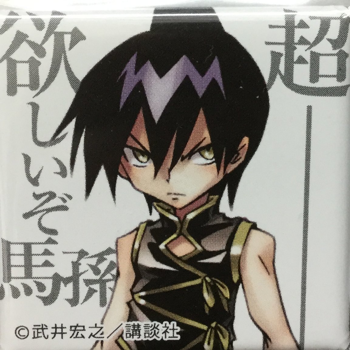 入荷情報】 「シャーマンキング」より 「道蓮＆ホロホロ」フィギュア化