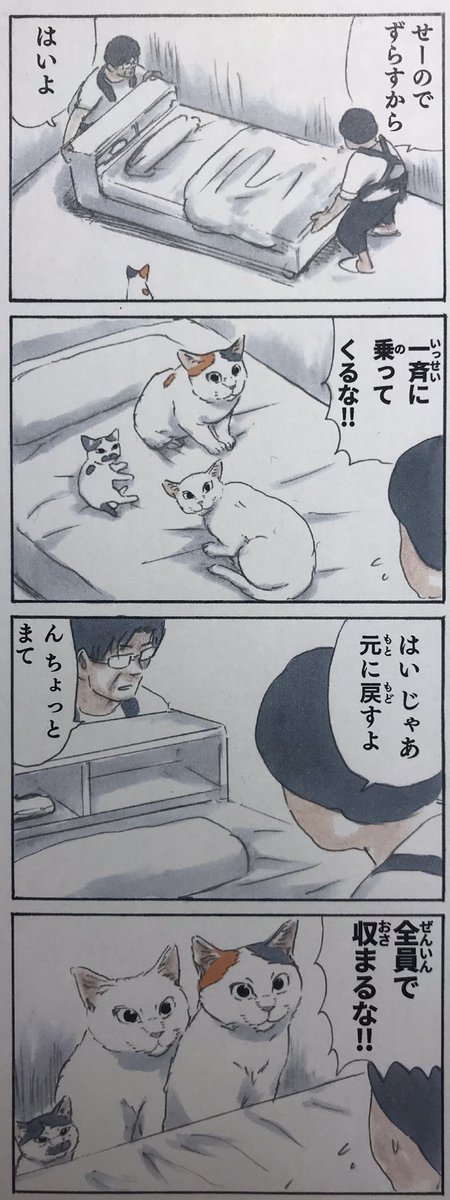 感想 拾い猫のモチャ５ ノリ吉登場 やっぱり子猫可愛いっ 猫雨露霜雪
