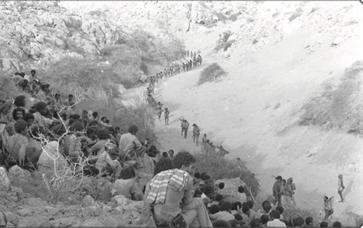 Erihistory's tweet photo. On Jan 15, 1984 the #EPLF captured the town of #Tessenei. The EPLF attacked & captured the town after the 7th Offensive by Derg in Mar 1983, lasted for 4 months, was successfully repulsed. This victory was followed by the decisive battle that led to the demise of Wuqaw in 1984. https://t.co/IanLhjiwSD