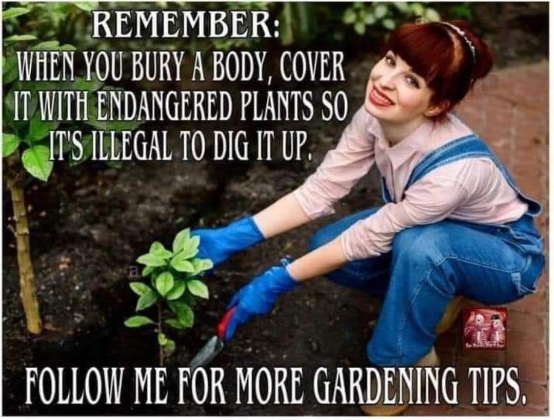 Lenie Mare (@lenieroute27) on Twitter photo 