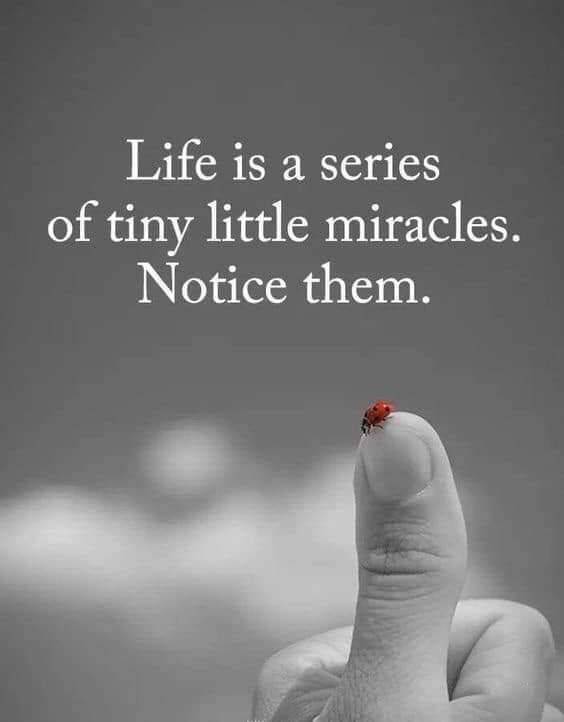 Lenie Mare (@lenieroute27) on Twitter photo 