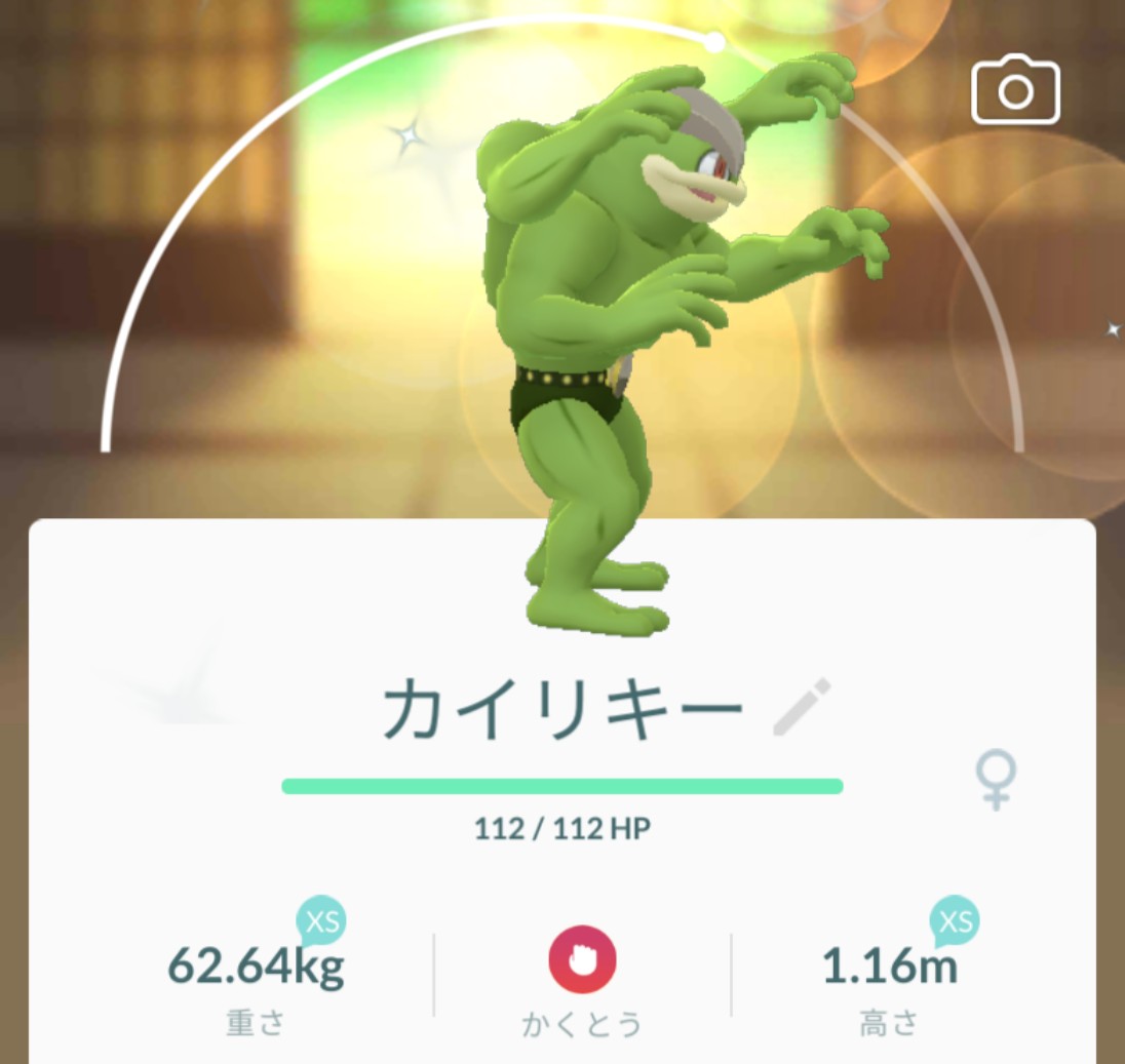 تويتر Mitsuki オブ Mitsuki على تويتر 色違いワンリキー ゴーリキー カイリキーに進化 もっと緑色が濃くなってハルク風だな 色違いポケモン ワンリキー ゴーリキー カイリキー ポケモンgo T Co Pcvuufyzzm