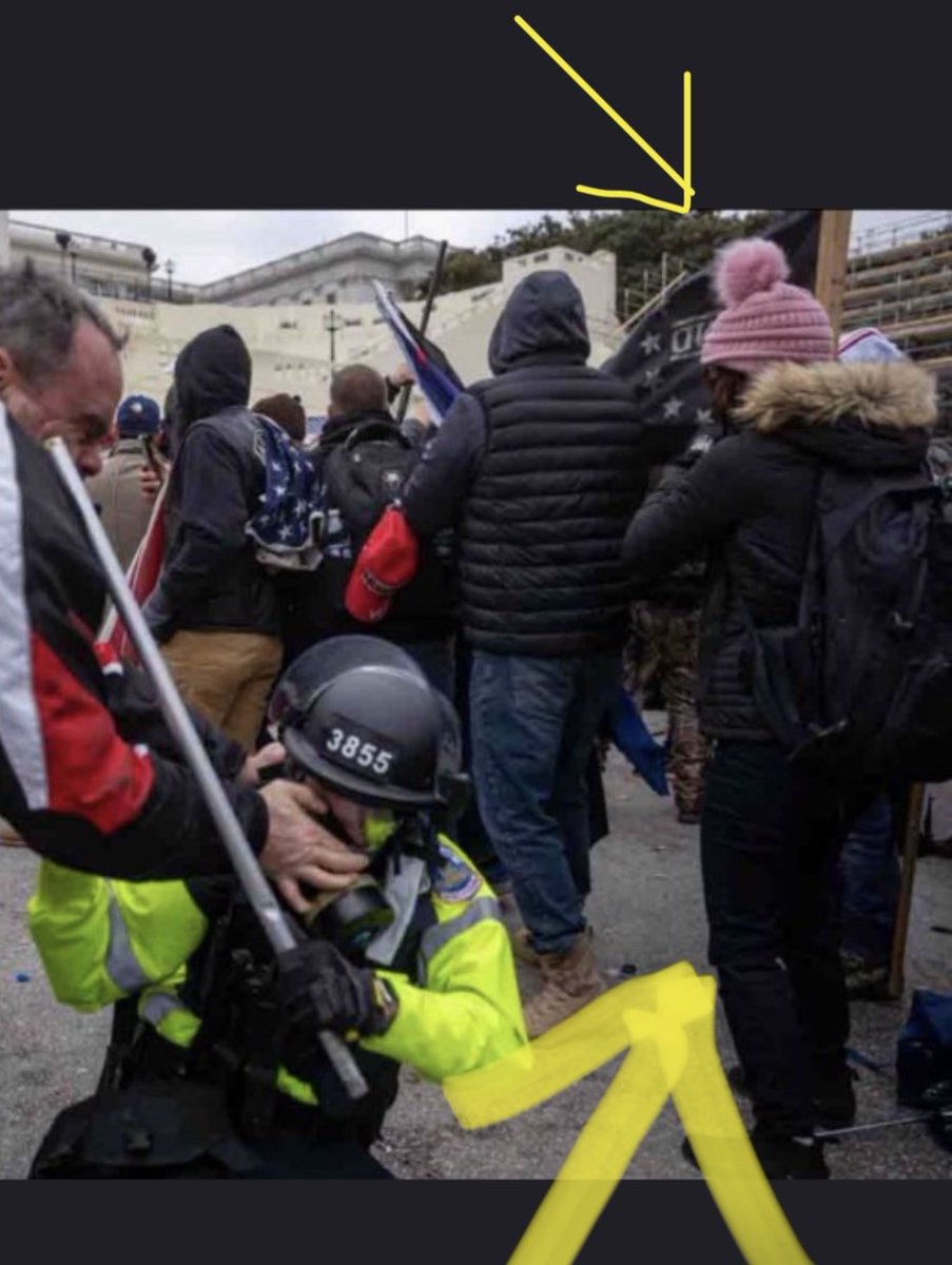  #Bullhornlady in a pink hat who gave detailed floor plan instructions to  #MAGATerrorists near the man accosting a policeman (#3855 ). cc  @jsrailton  @bellingcat  @Cleavon_MD