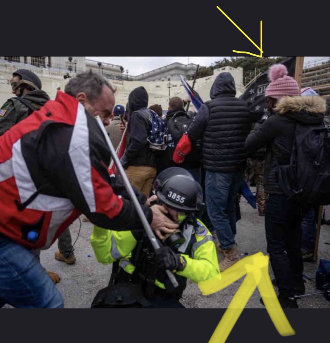  #Bullhornlady in a pink hat who gave detailed floor plan instructions to  #MAGATerrorists near the man accosting a policeman (#3855 ). cc  @jsrailton  @bellingcat  @Cleavon_MD