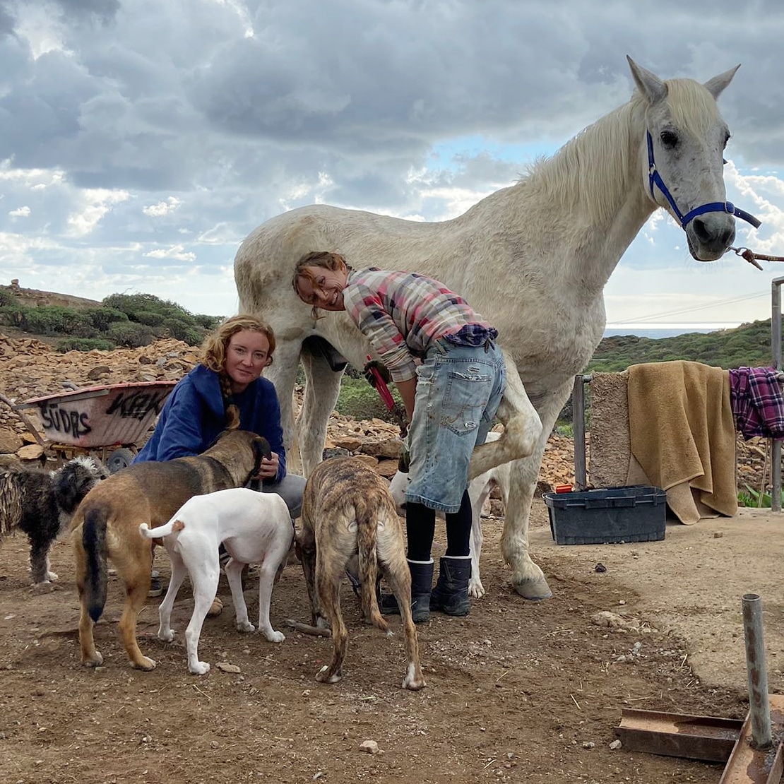 TFhorserescue's tweet photo. After the storm/flood comes the benefits.Soft feet for trimming!
We live in a volcanic rock, so feet are rock hard, we made the most of the soggy feet and did some easy trimming with the dogs.
Our barefoot journey is on YouTube.
#barefoothorses #barefoothoofcare #naturalhorse https://t.co/BGZvJke6Kt