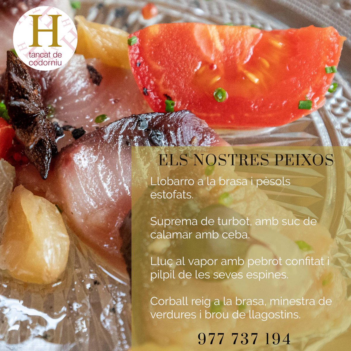 HotelTdeC's tweet photo. Desconnecta!
Aquests són els peixos que suggerim a la nostra carta TOTS els dies. 
Quin et preparem avui?
Si ets veí del Tancat o el teu treball fa que passis per aquí. Tens el nostre restaurant i hotel al teu servei.
Hotel Tancat de Codorníu 
977 737 194 https://t.co/YsByC5T4xc