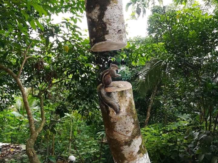 MSandaruJay's tweet photo. කියවීම කෙසේවෙතත් දක්ෂකම, කැපවීම මිනිසා සම්පූර්න කරයි කියල හිතෙනව.  #lka https://t.co/Ai7QR9C4Q0