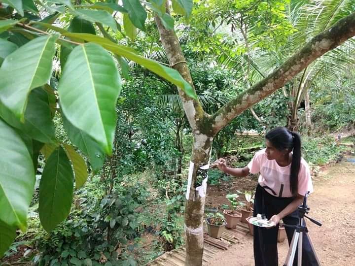 MSandaruJay's tweet photo. කියවීම කෙසේවෙතත් දක්ෂකම, කැපවීම මිනිසා සම්පූර්න කරයි කියල හිතෙනව.  #lka https://t.co/Ai7QR9C4Q0