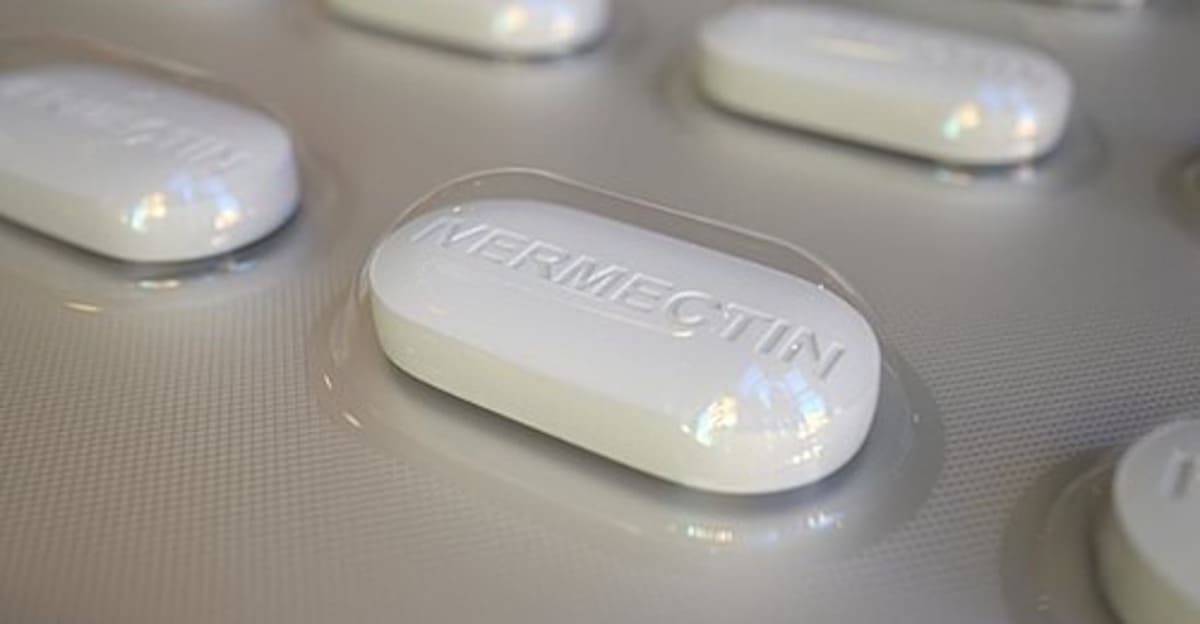 SABreakingNews's tweet image. Some 100 doctors plead with Ramaphosa to urgently review Ivermectin in Covid-19 battle dlvr.it/Rqj9gt