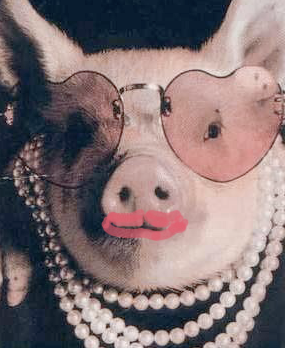 En recherche biomédicale, il est important d’identifier et de lutter contre la présence de 🅂🄿🄸🄽= présentation avantageuse, voire trompeuse d'un essai, qui donne au lecteur une impression d'efficacité + importante que ce que l'essai permet de conclure.