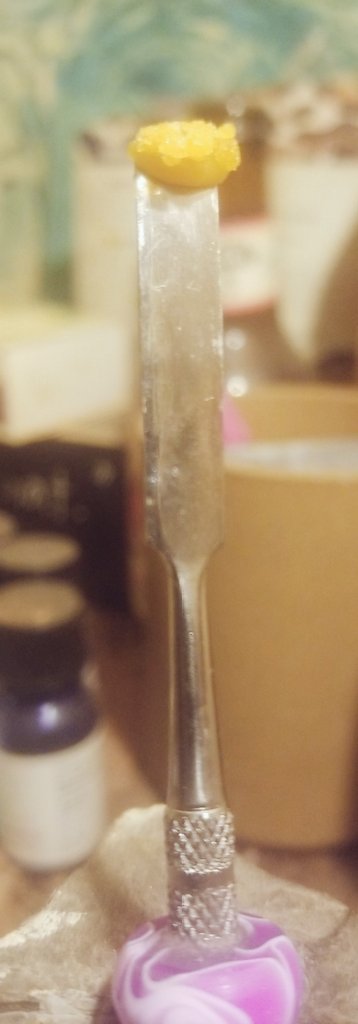 dankz_ella710's tweet image. Lime Skunk Live Budder from cresco pressed onto some papaya sugar for  extra pazazz and flavor. 
Yummy, super #terpy 💞💨💨 #PPP