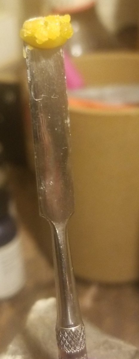 dankz_ella710's tweet image. Lime Skunk Live Budder from cresco pressed onto some papaya sugar for  extra pazazz and flavor. 
Yummy, super #terpy 💞💨💨 #PPP