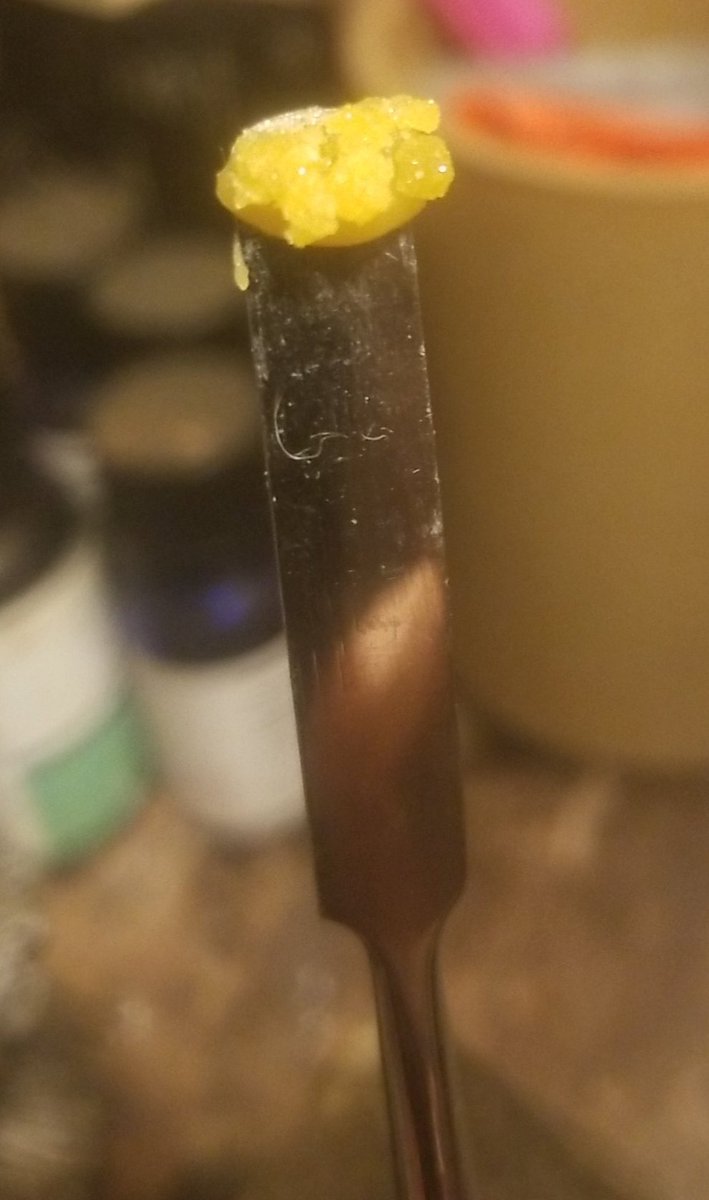 dankz_ella710's tweet image. Lime Skunk Live Budder from cresco pressed onto some papaya sugar for  extra pazazz and flavor. 
Yummy, super #terpy 💞💨💨 #PPP