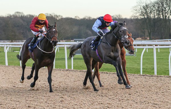 hpalmerracing's tweet photo. GOOD SOUL (Mukhadram - Royal Dalakhani) heads to @kemptonparkrace this evening for the 1m4f Novice Stakes at 5.15pm. @TomMarquand takes the ride. Good luck to the owners of this 3yo filly, Kremlin Cottage IX.
@philippamains @rob_speers @spenlar #mukhadram #poweredbypolroger https://t.co/ZchbVfkhC0
