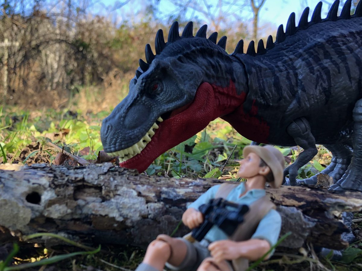 CollectorPaleo's tweet photo. Tarbo Trouble
#mattel #matteljurassicworld #matteltoys #jurassicworld #jurassicworldtoys #jurassicworldlegacycollection #jurassicpark #jurassicparktoys #primalattack https://t.co/iEkfC4eZw4