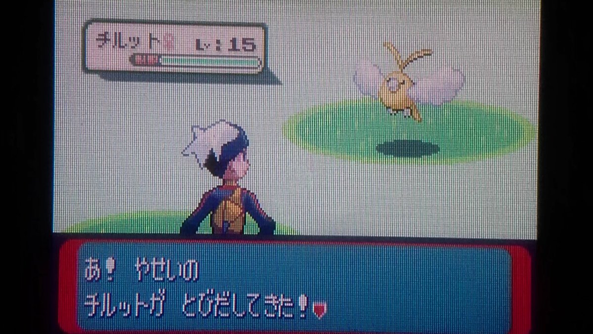 色違い縛り 色違い縛り