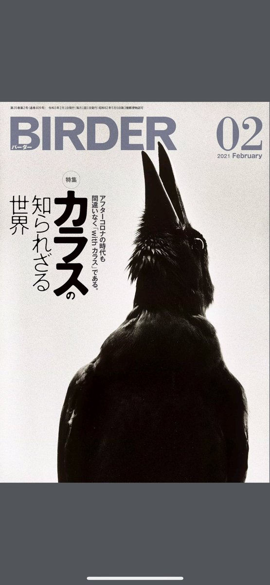 もぐら 表紙がカッコイイ Birder 2月号を定期購読のオマケで付いてくるデジタル版で 早く紙版届け デジタル版のカレンダーはいつも壁紙にさせてもらってます