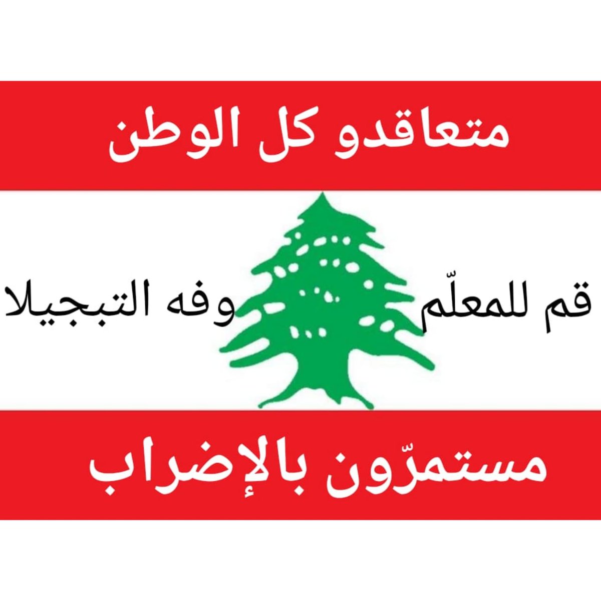 fatimaalia5's tweet photo. ما أشرقت في الكون أي حضارة إلّا وكانت من ضياء المعلم
#وفه_التبجيلا
@hassan_B_Diab
@TarekMMajzoub
@HildaKhoury
@EliasBouSaab
@TonyKhalife
@almanarnews
@LBCILebanon
@MTVlebenonNews
@ALJADEEDNEWS
@TweetsNbn https://t.co/FqNn08dOIG