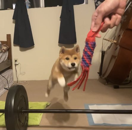 puthyb0i's tweet photo. learning how to fly https://t.co/cLt4Vlcc58