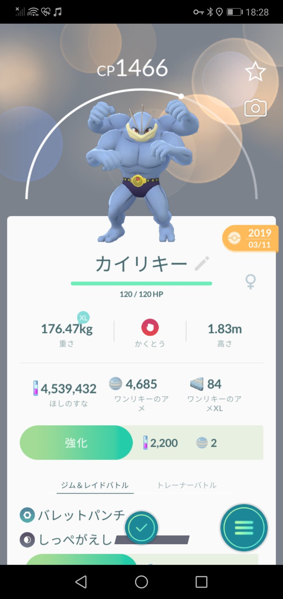 しっぺ返し Twitter Search Twitter