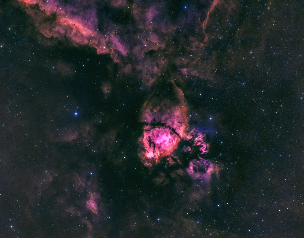 urmymuse2's tweet photo. The Northern Bear ... the other name for the fish head nebula. A redo of previous data this time in HSO #Astrophotography #astronomy #Nothernbear https://t.co/ZQkXUoZVCH