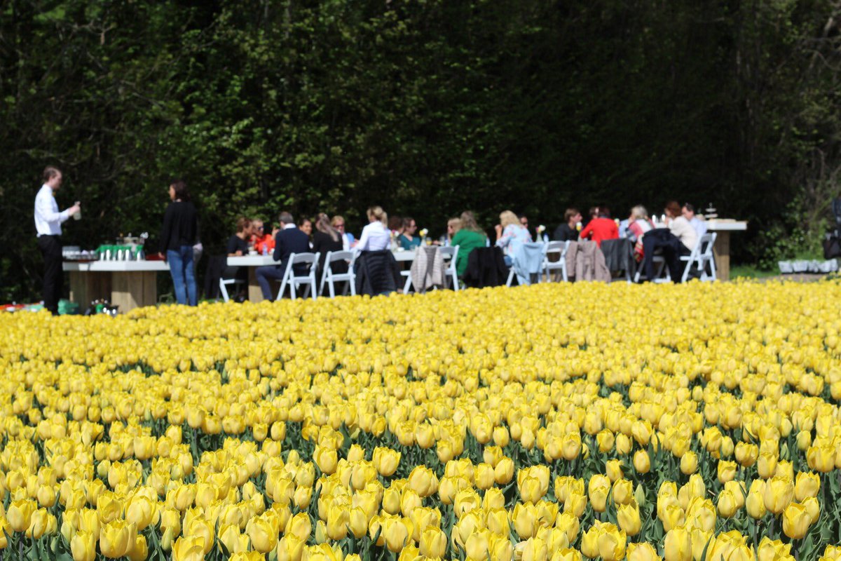 De #tulp, een van de meest kenmerkende bloemen die onze regio zo mooi maakt met al haar prachtige kleuren! Vandaag is het #NationaleTulpendag, de start van het #tulpenseizoen! Kom maar op met het voorjaar, we hebben er zin in 🌷 #Noordwijk #palacehotel #palacehotelnoordwijk