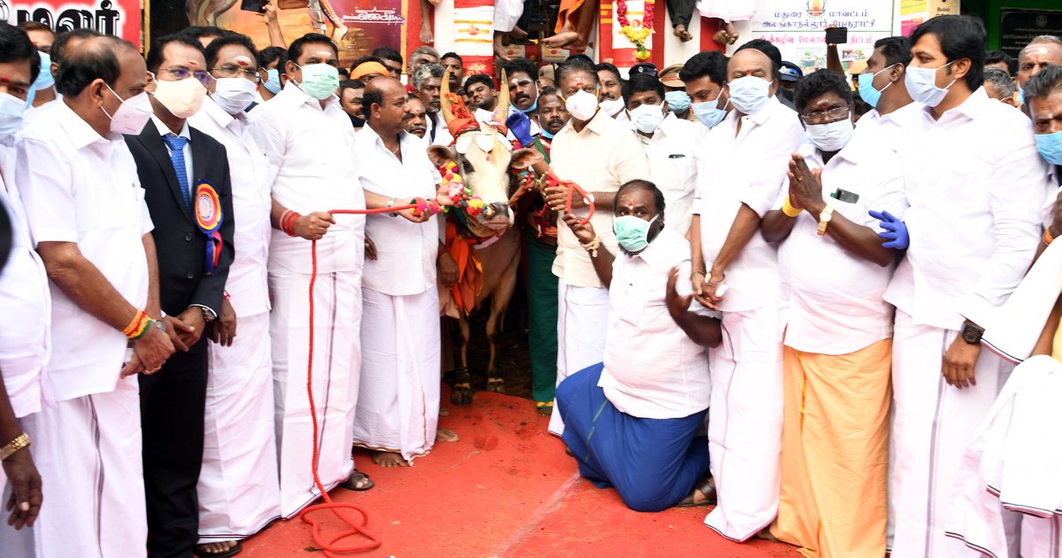 AIADMKITWINGOFL's tweet photo. புகழ்பெற்ற மதுரை அலங்காநல்லூர் ஜல்லிக்கட்டு போட்டியை மாண்புமிகு தமிழக முதல்வர் @CMOTamilNadu அவர்களும் மாண்புமிகு தமிழக துணைமுதல்வர் @OfficeOfOPS அவர்களும் துவக்கி வைத்து,

முனியாண்டி கோயில் காளையை முதலாவதாக வாடிவாசல் வழியாக அழைத்து வந்தார்கள்.

#tngovt #Jallikattu #அலங்காநல்லூர் https://t.co/hzQUILa4gc