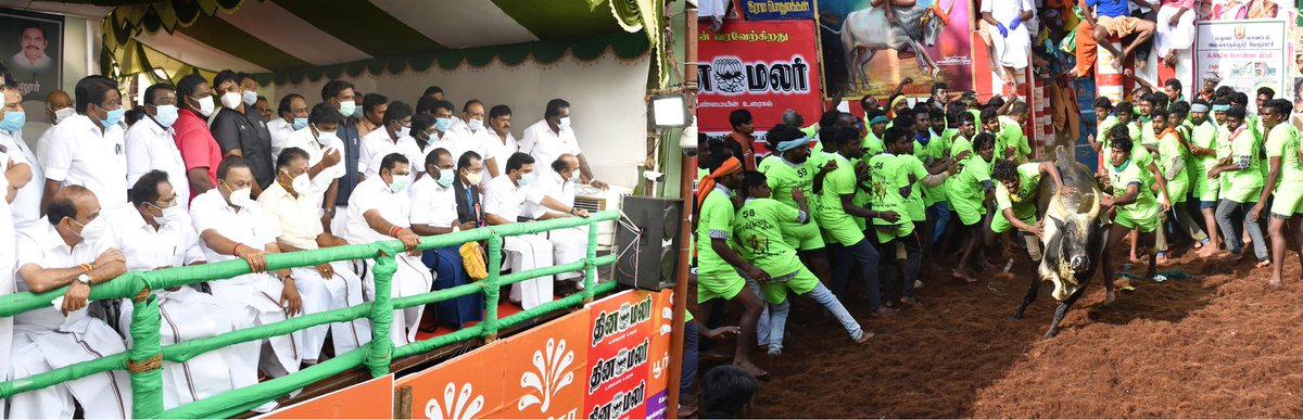 AIADMKITWINGOFL's tweet photo. புகழ்பெற்ற மதுரை அலங்காநல்லூர் ஜல்லிக்கட்டு போட்டியை மாண்புமிகு தமிழக முதல்வர் @CMOTamilNadu அவர்களும் மாண்புமிகு தமிழக துணைமுதல்வர் @OfficeOfOPS அவர்களும் துவக்கி வைத்து,

முனியாண்டி கோயில் காளையை முதலாவதாக வாடிவாசல் வழியாக அழைத்து வந்தார்கள்.

#tngovt #Jallikattu #அலங்காநல்லூர் https://t.co/hzQUILa4gc