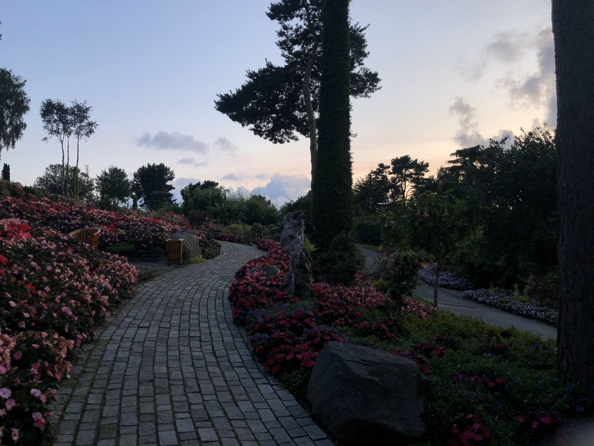 إسراء الكندري tweet media