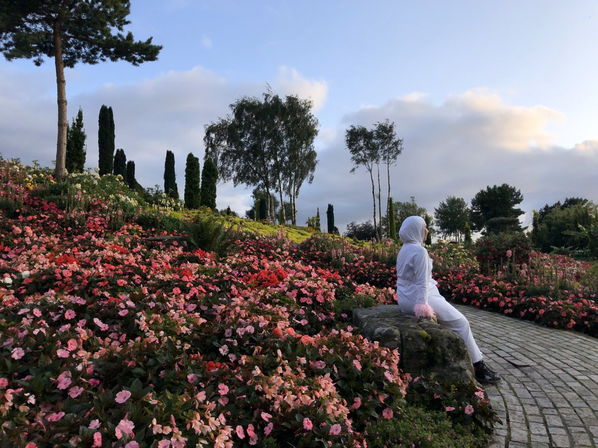 إسراء الكندري tweet media