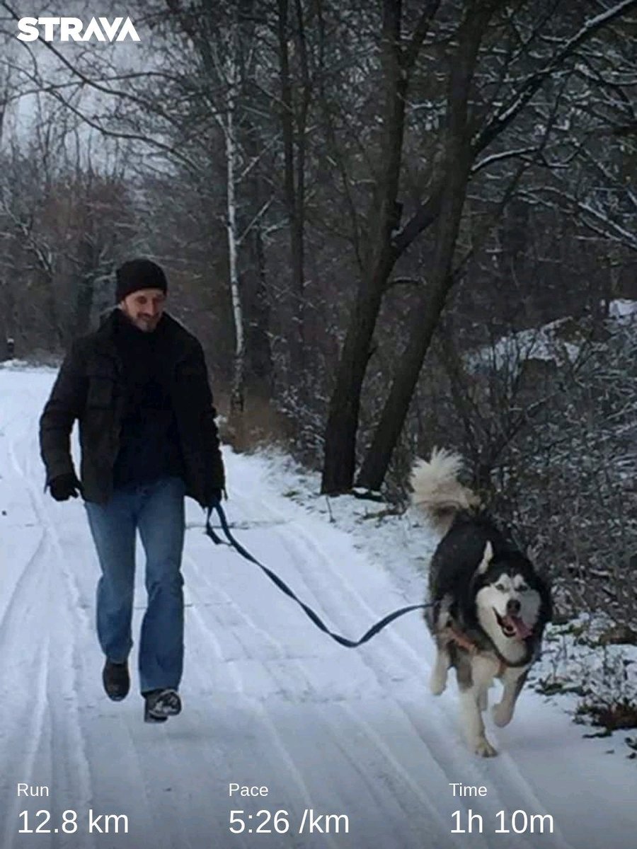 Pawel_Kownacki's tweet photo. Rocznicowy bieg z Chetanem... Minęło 5 lat od naszego wyjścia na spacer ze schroniska...
Zdjęcie z 2016 roku.
Dziś 2 km #PoChetane a później trucht, lustracja dróg i przebieżki. Zaraz znów się rozpada. https://t.co/4LwaLD0JrJ