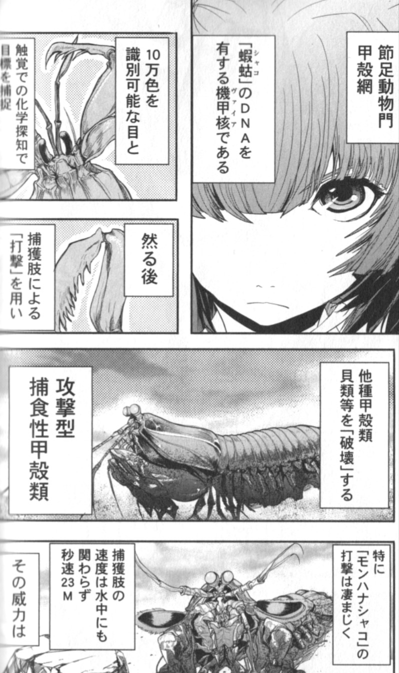 おおかみ書房公式 劇画狼 على تويتر テラフォーマーズ キリングバイツ アラクニドみたいな 動物の生態の解説を細かく入れながら その動物の能力を使って戦うマンガを冗談抜きで 全部読みたい と思っているので メジャー マイナーに関わらず教えて おおかみ書房公式 劇画狼 على تويتر テラフォーマーズ キリングバイツ アラクニドみたいな 動物の生態の解説を細かく入れながら その動物の能力を使って戦うマンガを冗談抜きで 全部読みたい と思っているので メジャー マイナーに関わらず教えて