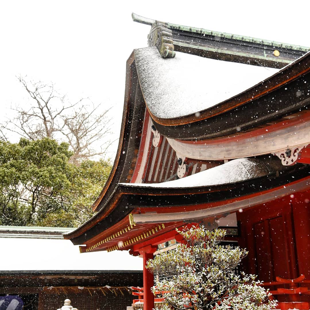筥崎宮 公式 本殿 雪化粧 筥崎宮 雪 神社 福岡 パワースポット