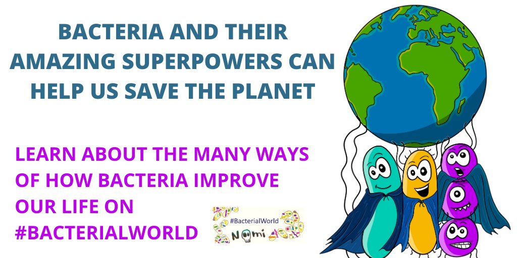 Bacterialworld's tweet photo. Bacteria and their amazing superpowers can help us save this planet.
Learn about the many ways of how #bacteria improve our lives with @RMBurckhardt
and beautiful illustrations by @NoemieMatthey.
https://t.co/M3InQ64hZD
#BacterialWorld #scicomm #sciencecommunication #sciblog https://t.co/qsqHOvseZK