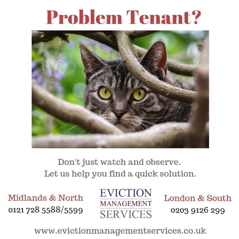 EvictionHelper's tweet image. #problemtenant #tenanteviction #evictatenant #evictionservice