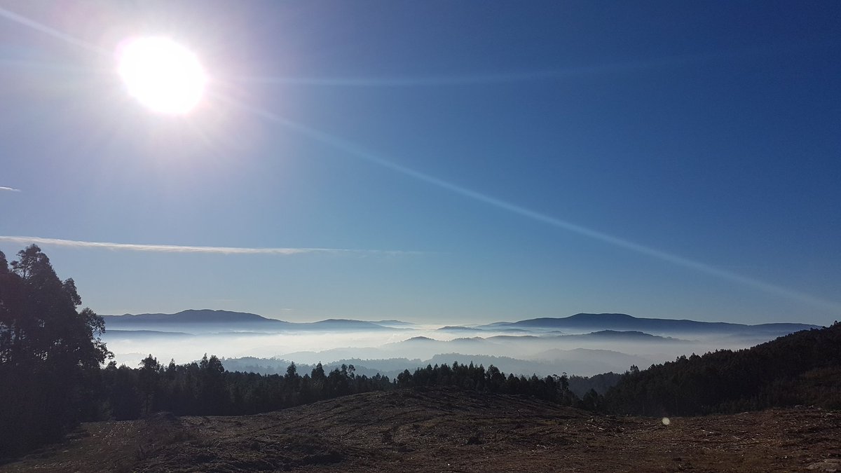 aabalo's tweet photo. Que tesoros para hacer rutas tenemos tan cerca...
#xiabre #trailrunning #saiar #caldasdereis #nofilter #ahoramismo https://t.co/GnF5cNGwyw