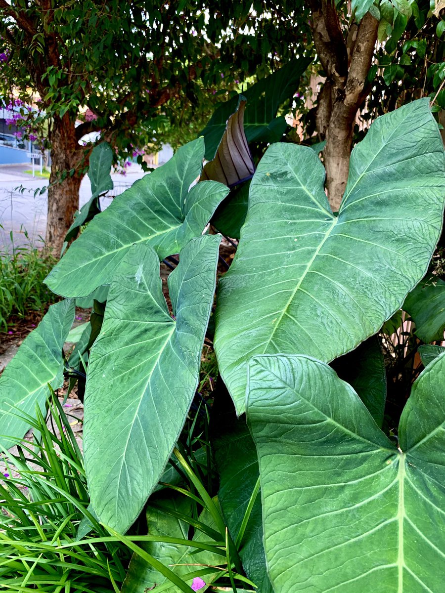 heribezerra1's tweet image. No meio dos simples brota a oração que os fortificarão para a vida eterna.
#Opoderdaoracao