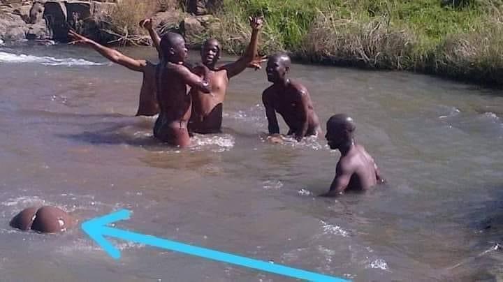 AdvoBarryRoux's tweet image. What is then name of this swimming style?