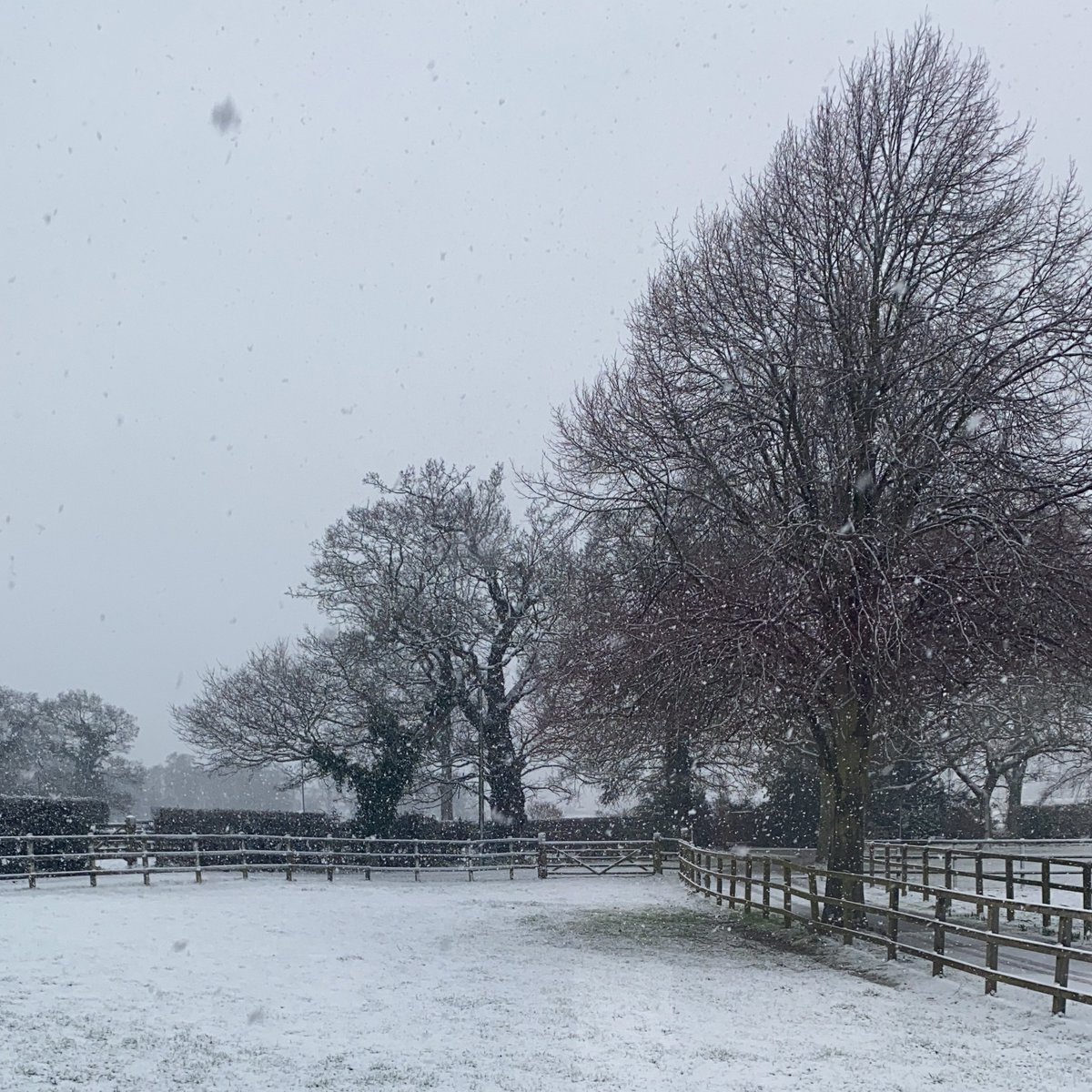 NorfolkHoneyCo's tweet photo. The snow has hit Norfolk this morning. Definitely a day to catch up on past video’s on patreon or open up and start reading that bee book you got for Christmas. Keep safe everyone.
https://t.co/Vrnq1w8OUY
#norfolkhoneyCo #patreon #winter #snowdays
#springwillbeherebeforeyouknowit https://t.co/EoGrUUO5qX