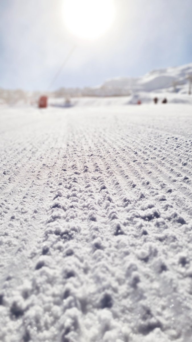 Nos deux tapis sont ouverts le week end, de 8h30 à 16h30 😀 venez nombreux !!!! 
#lapierresaintmartin #sudouest #pyrénéesbéarnaises